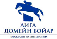 Logo_liga domein boyar
